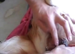 Sexy doggy penetrated in missionary pose