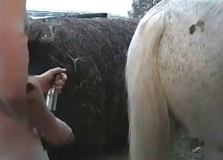 Extreme pussy eating for a big beast