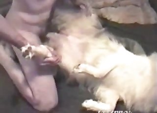 Beautiful hairy doggy got nicely nailed