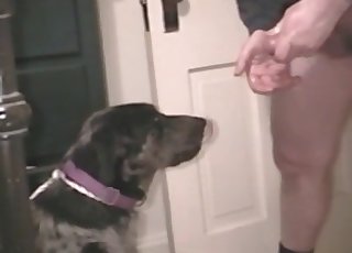 Este tipo y su perro obediente están aquí