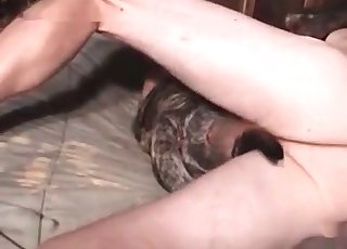 Perfect amateur bestiality XXX with my dog