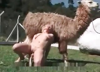 Lama is watching how this babe is getting naked