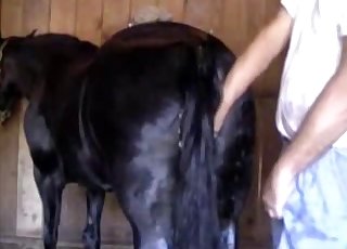 Avslører dette dyrets deilige fitte