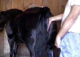 Exposing this animal's delicious cunt