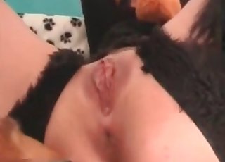 Sexy brown doggy in awesome bestiality XXX