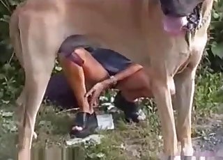 Amazing big dog and fully naked zoophile