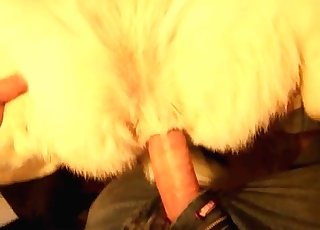 Fucking that animal's beautiful hole