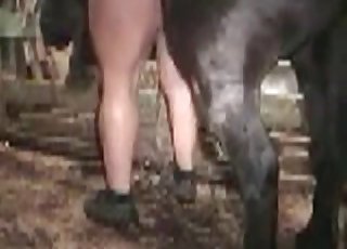 MIFL with a tight hole fucks a horse