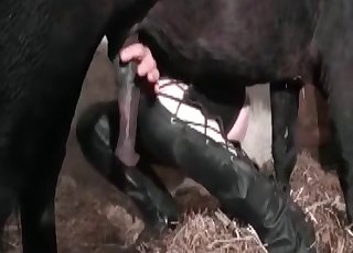 Sexy jockey fucked nicely by her massive buffalo