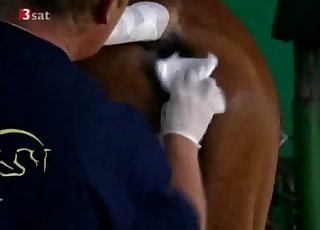 Kieroutunutta eläinten kanssa sekaantumista vain eläimiin