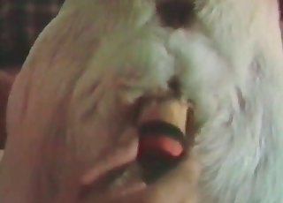 Fingering that perfect pussy here