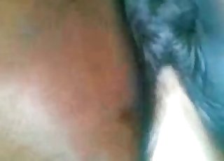 Amazing horse pussy is so freaking deep