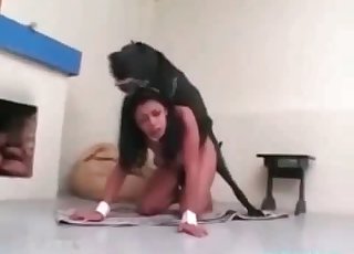 Tanned chick fucked by a dog on all fours