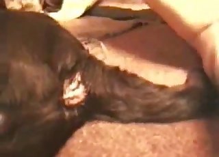 Sideways fuck-fest with a hot dog