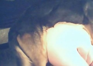 Doggy style romp with a horny dog