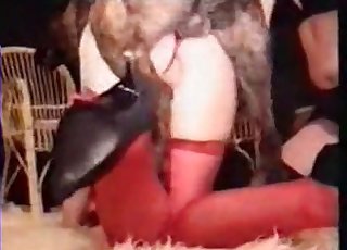 Sweet redhead babe shows off her skills