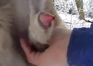 Sexo bestial al aire libre en invierno