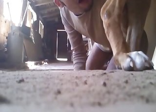 Fantastic bestiality with a dog