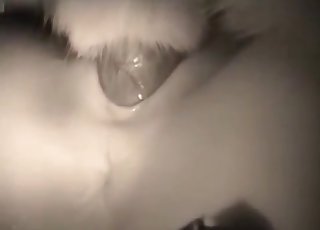 Extremely sexy close-up bestiality