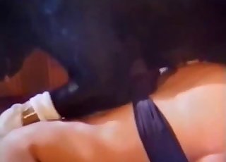 Punapää beibi ja hänen musta koiransa harrastavat seksiä