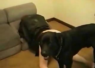 That ass/pussy is ripe for picking