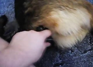 Dude fucks that hole with a toy