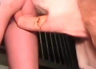 Soaking wet cunt ruined by a beast