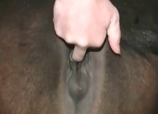 Eating this beast's sexy pussy