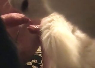 Kerel krijgt een rimjob van zijn hond