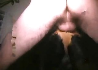 Black dog impaled in ass by zoophile male
