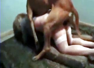 Black dog fucked her crack from behind