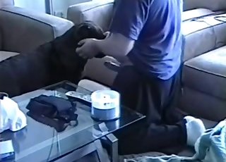 Black dog got nicely drilled by owner