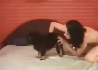 Brunette playfully sucking dog's cock