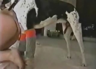 Impressive bestiality with amateurs