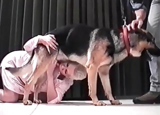 Rövidszőrű zoofil fúj egy kutyát