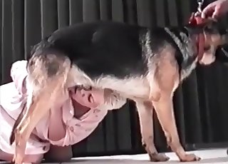 Short-haired zoophile blows a dog