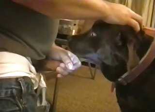 Dude fucking this slutty-ass doggy