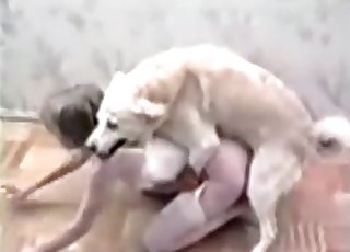 Blonde doll sucked her own trained doggy
