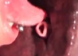 Horny horse loves drilling tight cunts