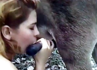 Sensual oral sex with a nice-looking animal