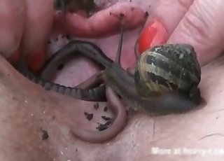 Disgusting insectophilia in close-up shot