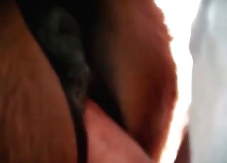 Awesome zoophilia XXX with my stallion