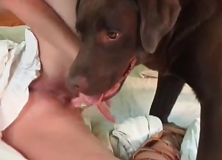 Dark-haired beauty happily fucks a dog