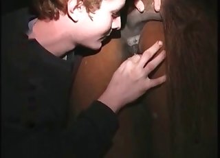 Nice horse gets licked on camera