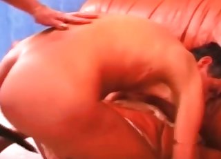 Anal zoophilia XXX was never so impressive