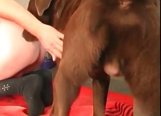 Sexy puppy and filthy hairy balls