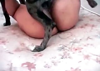 Farm animal drills a very accurate pussy