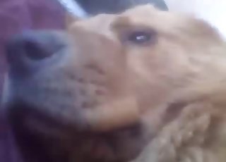 Mind-blowing close-ups right here