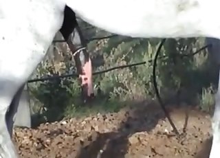 Take a look at this GINORMOUS horse cock