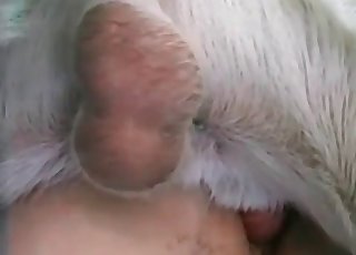 Stacked nude slut teasing her pet